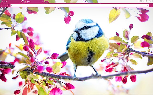 Happy Birdy dari toko web Chrome untuk dijalankan dengan OffiDocs Chromium online