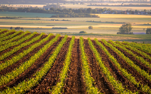 Happy nursery  from Chrome web store to be run with OffiDocs Chromium online