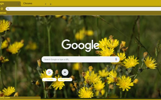 Hawkweed  from Chrome web store to be run with OffiDocs Chromium online Hawkweed  from Chrome web store to be run with OffiDocs Chromium online