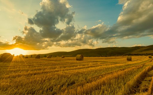 Hay Bales at Sunset  from Chrome web store to be run with OffiDocs Chromium online