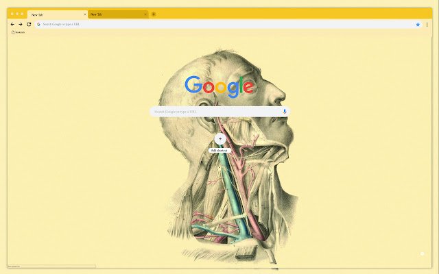 Testa e vasi dal negozio web di Chrome possono essere eseguiti con OffiDocs Chromium online