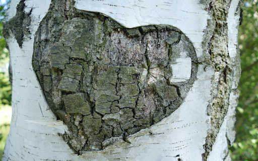 Heart shaped floating tree  from Chrome web store to be run with OffiDocs Chromium online