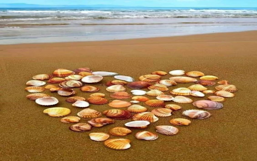 heart shaped seashell wallpaper  from Chrome web store to be run with OffiDocs Chromium online