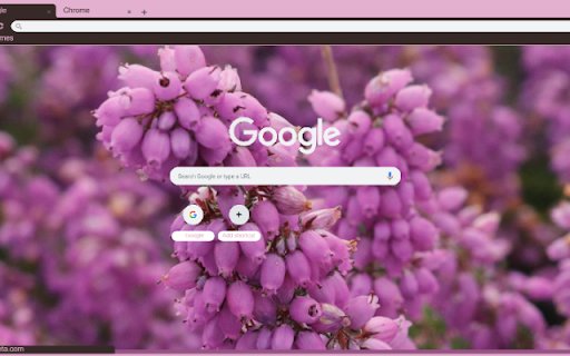 Heather  from Chrome web store to be run with OffiDocs Chromium online