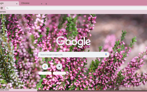 Heather Pink from Chrome web store to be run with OffiDocs Chromium online Heather Pink from Chrome web store to be run with OffiDocs Chromium online