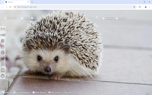 Hedgehog Wallpaper  from Chrome web store to be run with OffiDocs Chromium online