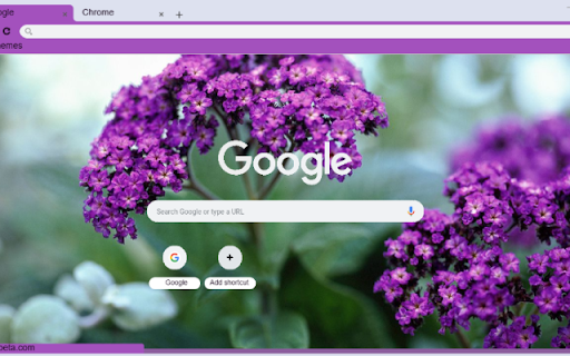 Heliotrope  from Chrome web store to be run with OffiDocs Chromium online