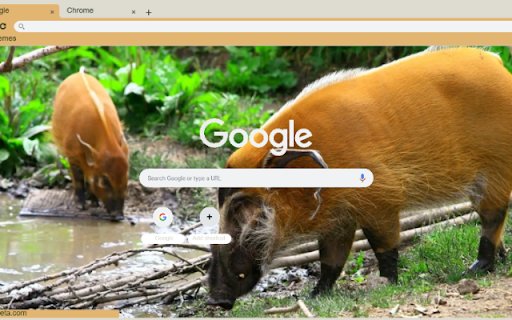 Heo suoi  from Chrome web store to be run with OffiDocs Chromium online