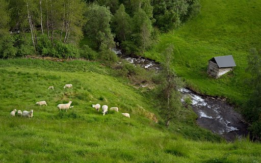 Herd of white goats from Chrome web store to be run with OffiDocs Chromium online Herd of white goats from Chrome web store to be run with OffiDocs Chromium online