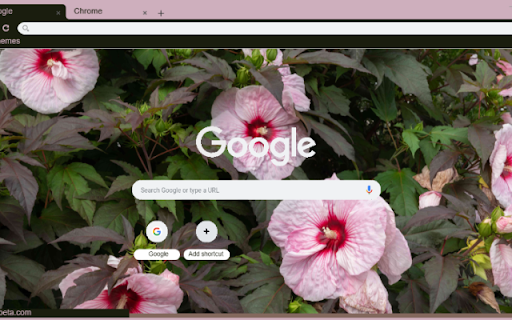 Hibiscus  from Chrome web store to be run with OffiDocs Chromium online
