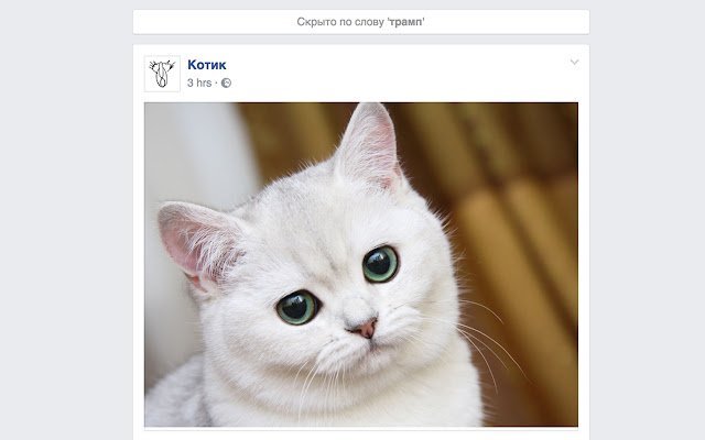 HideIt depuis la boutique en ligne Chrome pour être exécuté avec OffiDocs Chromium en ligne