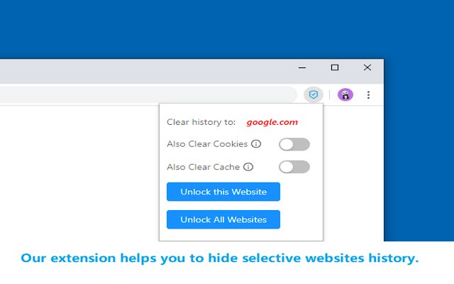 Hide Me: Automatically Cleans History  from Chrome web store to be run with OffiDocs Chromium online