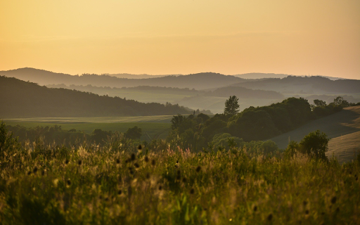 Hills of trees and grass  from Chrome web store to be run with OffiDocs Chromium online