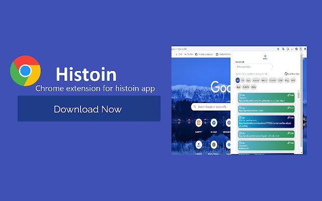 OffiDocs Chromium 온라인에서 실행되는 Chrome 웹 스토어의 Histoin