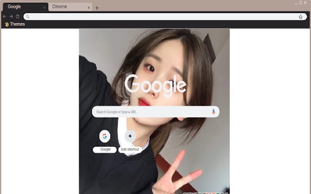 Chrome Web ストアの GentleNoBra.com を OffiDocs Chromium online で実行