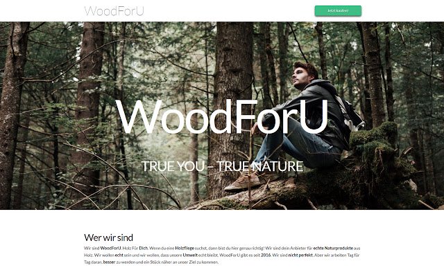 Holzfliege von WoodForU de la boutique en ligne Chrome sera exécuté avec OffiDocs Chromium en ligne