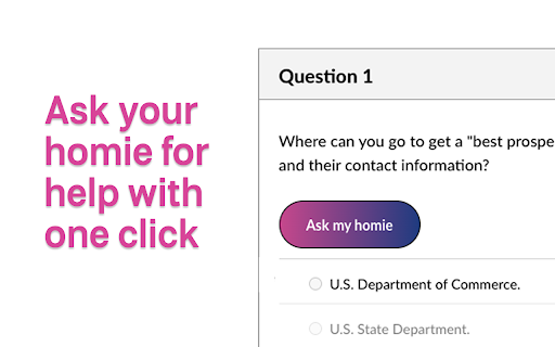 Homework Homie  from Chrome web store to be run with OffiDocs Chromium online