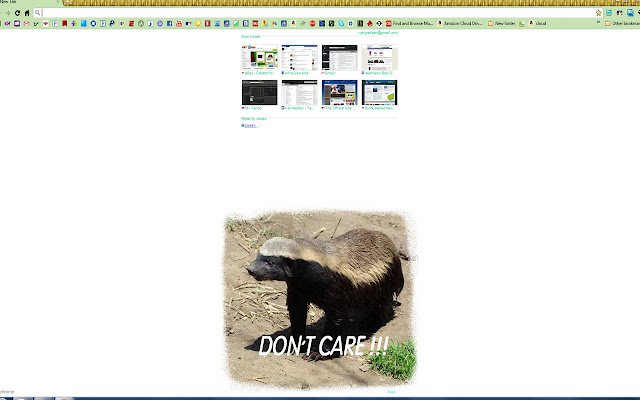 Honey Badger Dont Care  from Chrome web store to be run with OffiDocs Chromium online