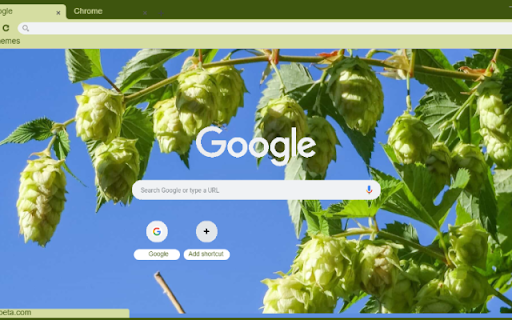 Hops  from Chrome web store to be run with OffiDocs Chromium online