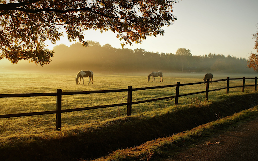 Horse farm  from Chrome web store to be run with OffiDocs Chromium online