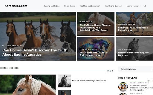 HorseHero Grey Background  from Chrome web store to be run with OffiDocs Chromium online