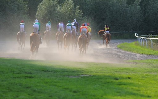Horse racing competition  from Chrome web store to be run with OffiDocs Chromium online