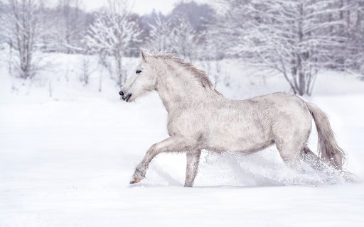 Horses walking on snow  from Chrome web store to be run with OffiDocs Chromium online