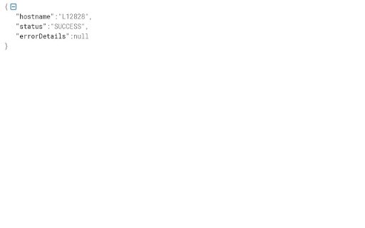 HostLookUp Extension  from Chrome web store to be run with OffiDocs Chromium online