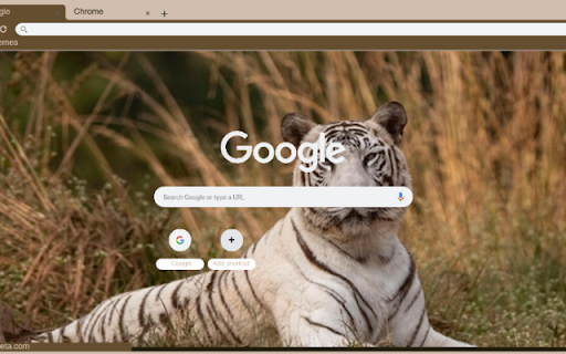 Ho Trang  from Chrome web store to be run with OffiDocs Chromium online