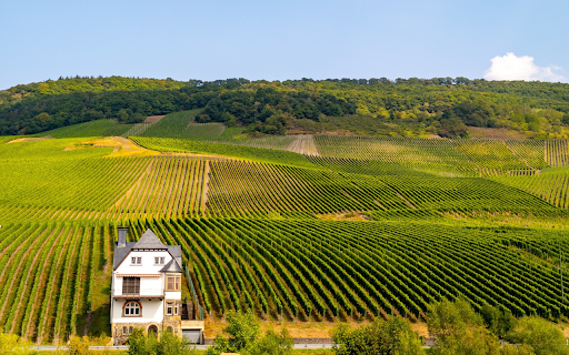 House and grape farm  from Chrome web store to be run with OffiDocs Chromium online