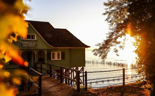 House on the lake  from Chrome web store to be run with OffiDocs Chromium online