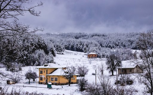 Houses on snow  from Chrome web store to be run with OffiDocs Chromium online