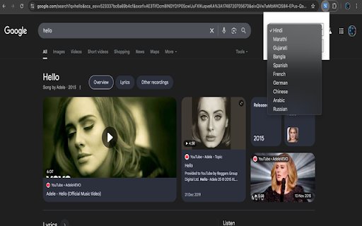 Hover Translate Magnifier  from Chrome web store to be run with OffiDocs Chromium online