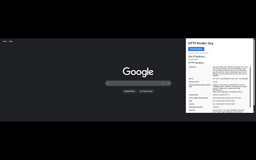 HTTP Header Spy  from Chrome web store to be run with OffiDocs Chromium online