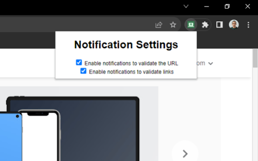 HTTPS Verifier  from Chrome web store to be run with OffiDocs Chromium online