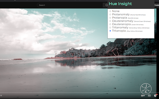 HueInsight : ColorBlindness Simulator  from Chrome web store to be run with OffiDocs Chromium online