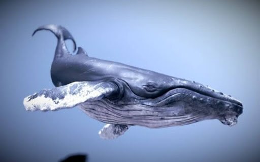 humpback whale wallpaper  from Chrome web store to be run with OffiDocs Chromium online