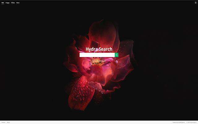 Chrome 网上商店的 Hydra 浏览器将与 OffiDocs Chromium 在线一起运行