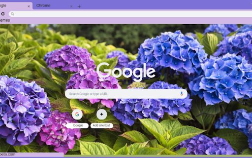 Hydrangea  from Chrome web store to be run with OffiDocs Chromium online