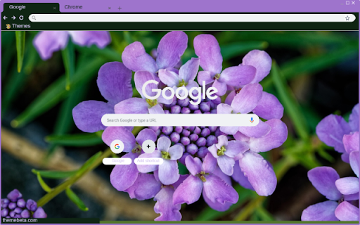 Iberis  from Chrome web store to be run with OffiDocs Chromium online