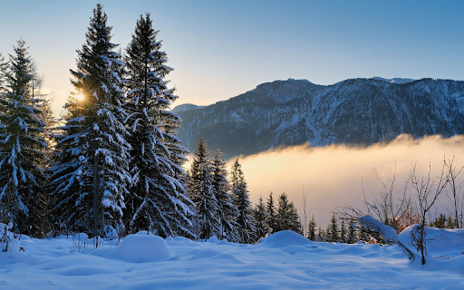 icy mountain forests  from Chrome web store to be run with OffiDocs Chromium online