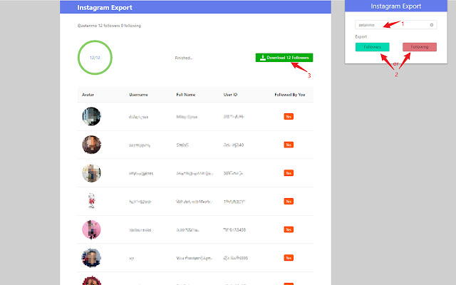 IGExport Export Ins Followers free  from Chrome web store to be run with OffiDocs Chromium online