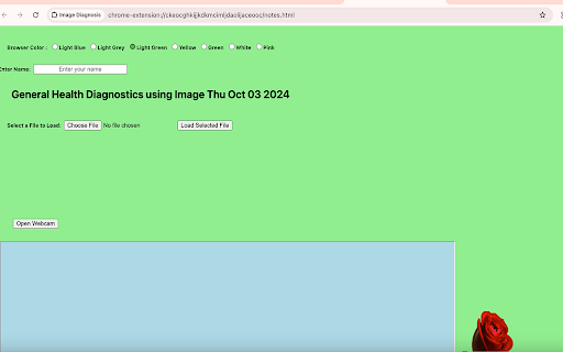 Image Diagnosis  from Chrome web store to be run with OffiDocs Chromium online