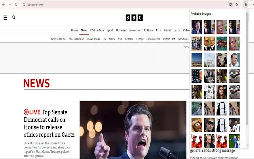 Image Downloader  from Chrome web store to be run with OffiDocs Chromium online