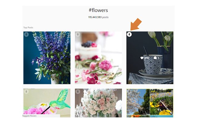 Image Downloader for IW  from Chrome web store to be run with OffiDocs Chromium online