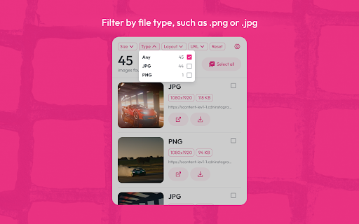 Image Downloader Pro Tool  from Chrome web store to be run with OffiDocs Chromium online