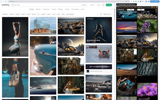 Image Downloader | Suricata  from Chrome web store to be run with OffiDocs Chromium online
