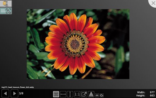 Image Drops: Downloader  Viewer for web images  from Chrome web store to be run with OffiDocs Chromium online