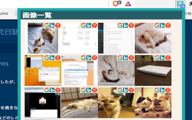 El cazador de imágenes de Chrome web store se ejecutará con OffiDocs Chromium en línea