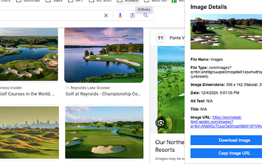 Image Info Viewer for Chrome  from Chrome web store to be run with OffiDocs Chromium online